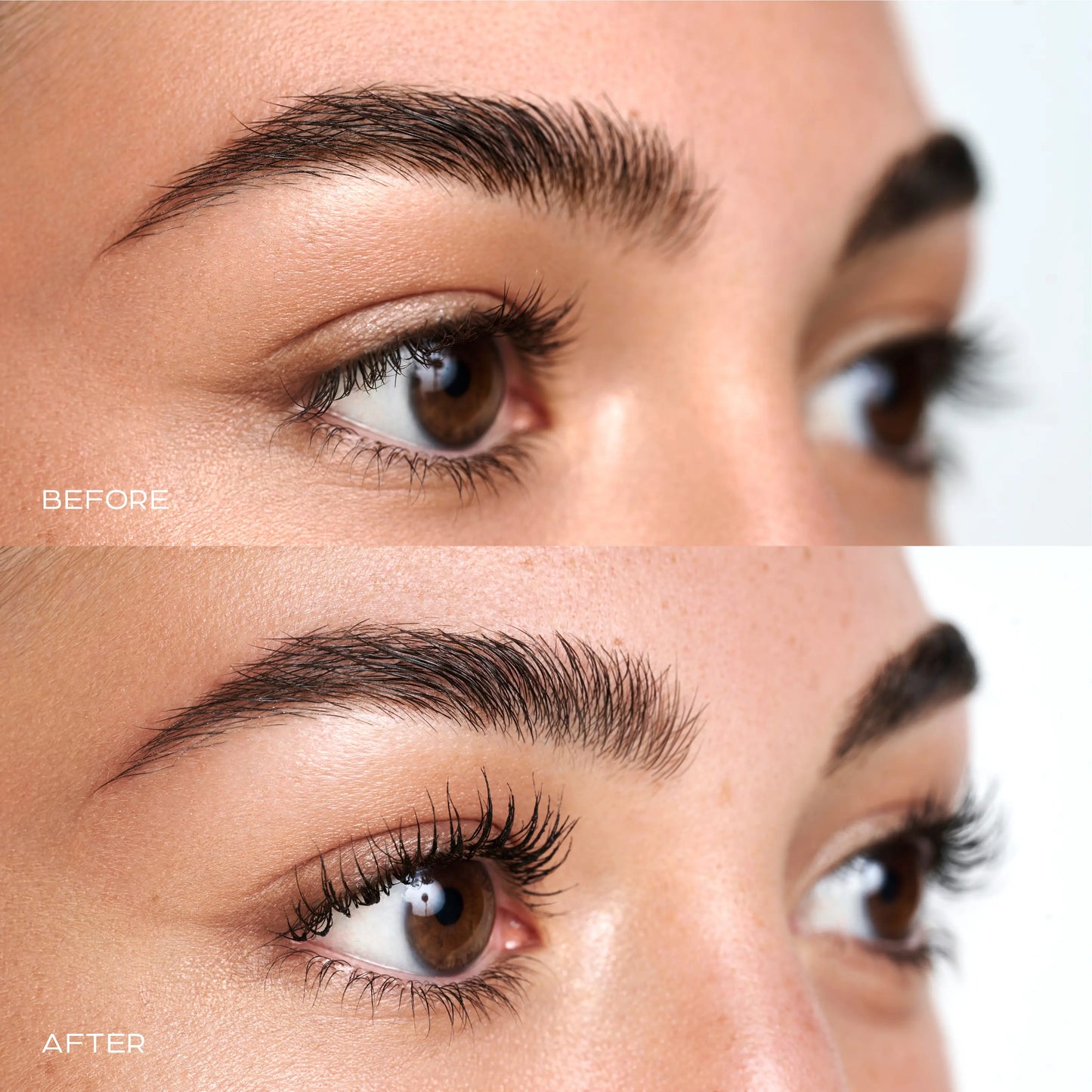 Universal Trendy Lash Curler