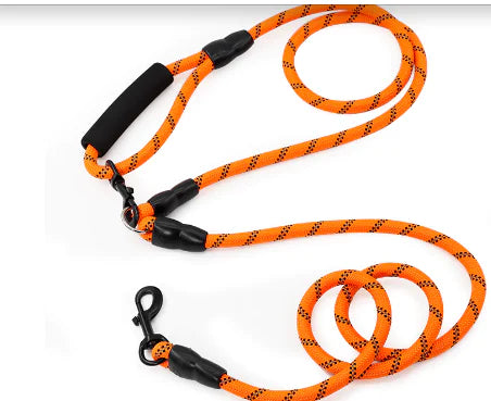 Reflective Nylon Dog Leash for Small to Large Dogs