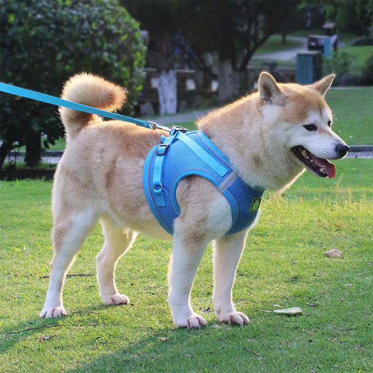 Reflective Vest Harness and Leash for Small Dogs