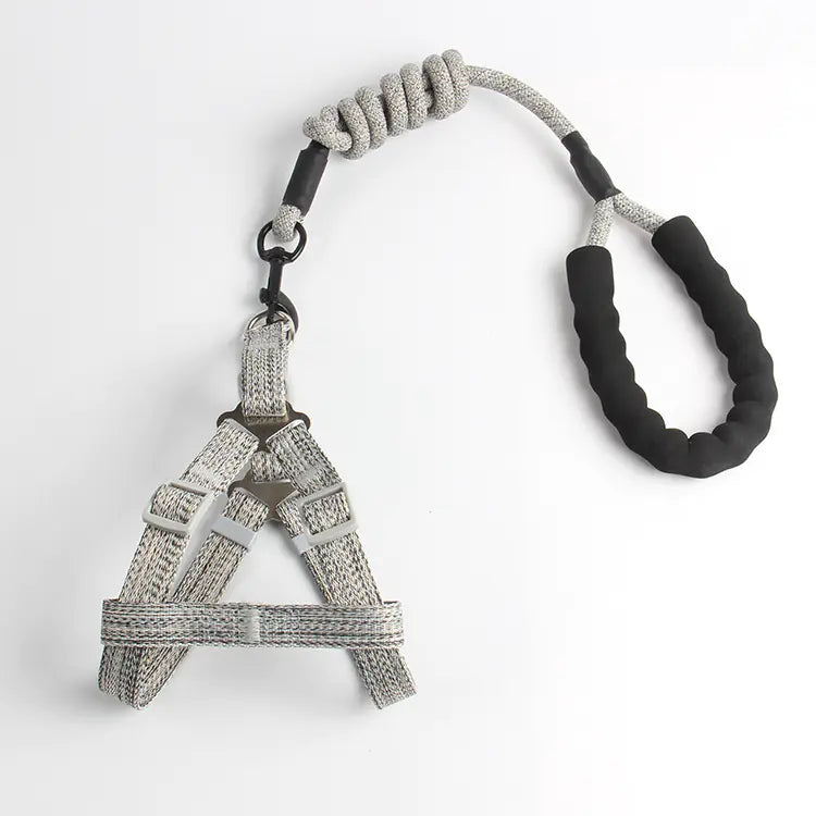 Pet Leash and Harness Set for Small Dogs (Wholesale)