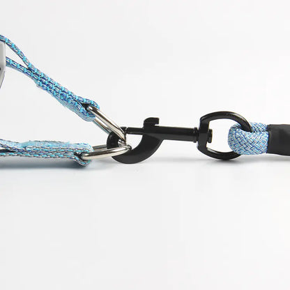 Pet Leash and Harness Set for Small Dogs (Wholesale)