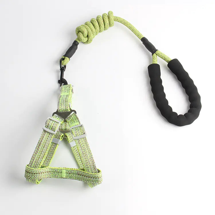 Pet Leash and Harness Set for Small Dogs (Wholesale)