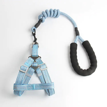 Pet Leash and Harness Set for Small Dogs (Wholesale)