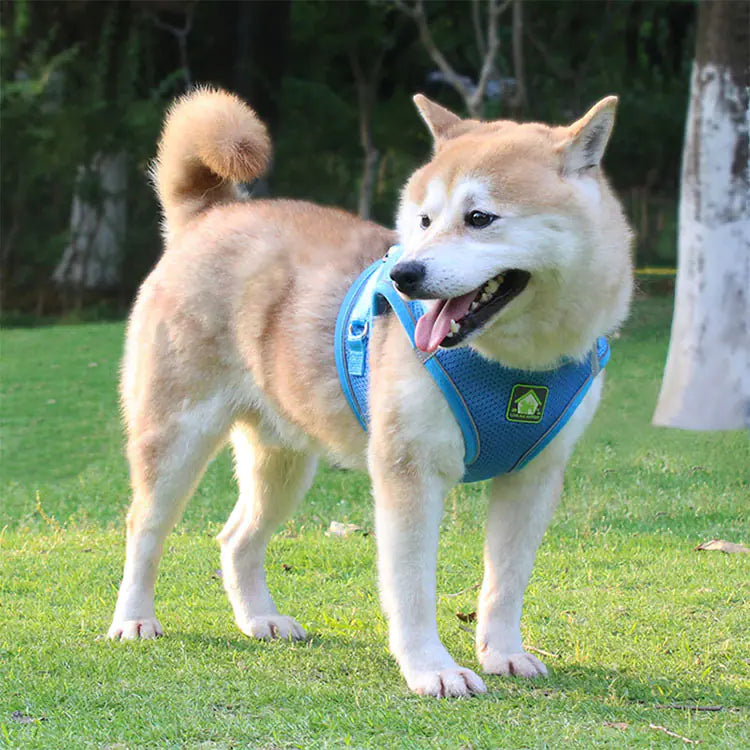 Reflective Vest Harness and Leash for Small Dogs