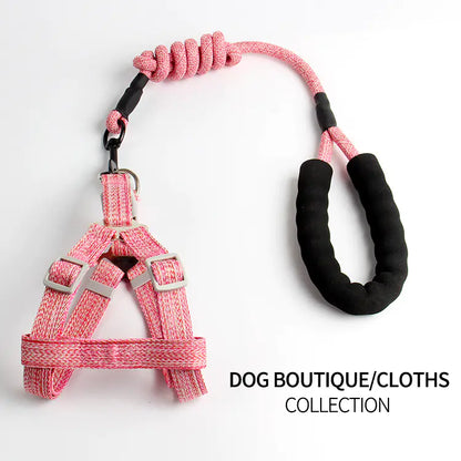Pet Leash and Harness Set for Small Dogs (Wholesale)