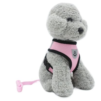 Reflective Vest and Leash for Small Dogs