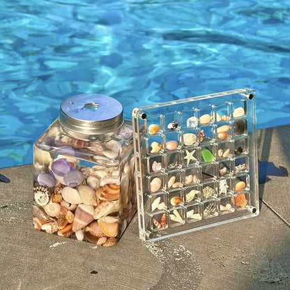 Acrylic Magnetic Seashell Display Box