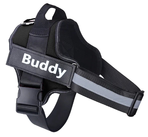 Cross-Border Vest Dog Harness and Leash for Medium Dogs