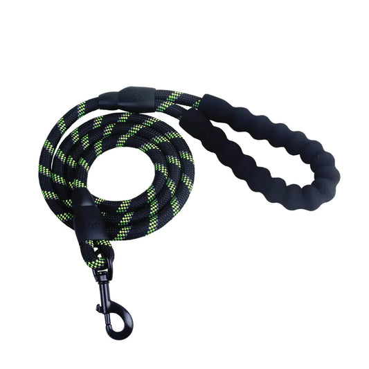 Reflective Nylon Dog Leash for Small to Large Dogs