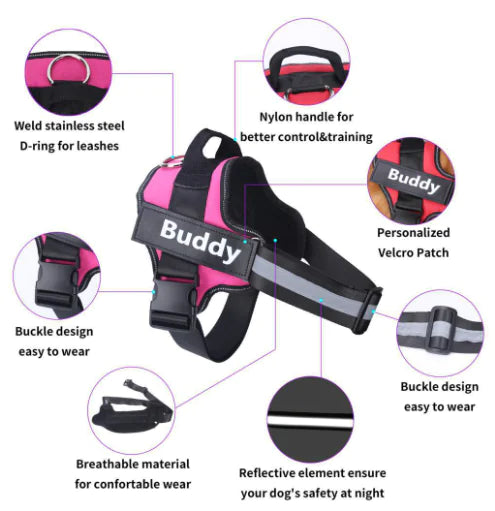 Cross-Border Vest Dog Harness and Leash for Medium Dogs