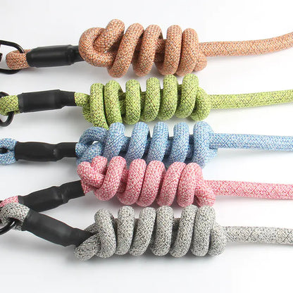 Pet Leash and Harness Set for Small Dogs (Wholesale)