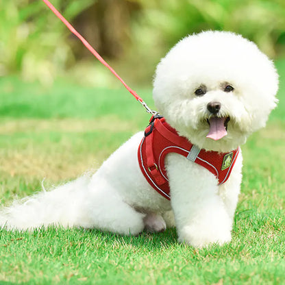 Reflective Vest Harness and Leash for Small Dogs