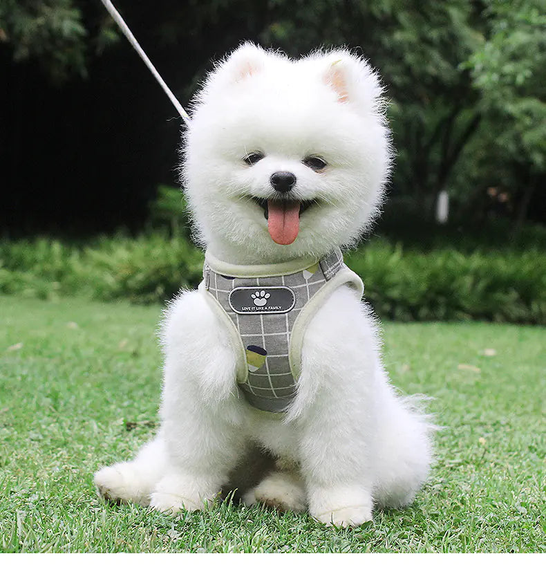 Reflective Vest Leash for Small to Medium Dogs