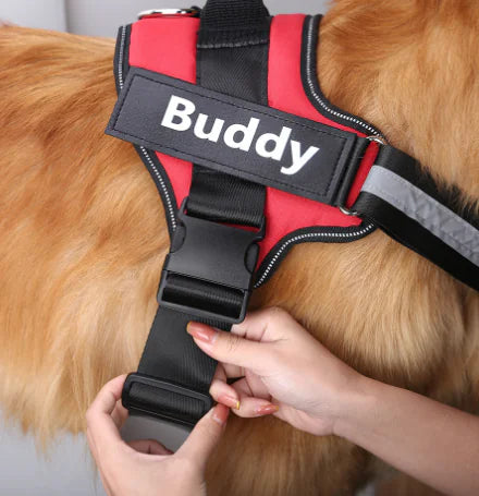 Cross-Border Vest Dog Harness and Leash for Medium Dogs