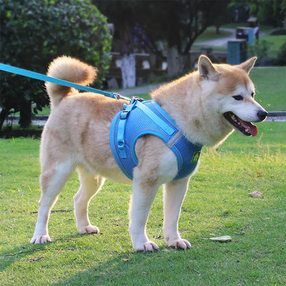 Reflective Vest Harness and Leash for Small Dogs