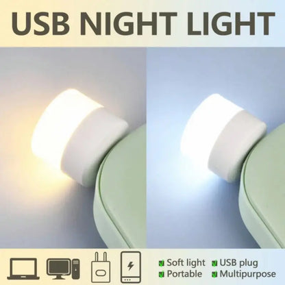 5V 1W Mini USB Plug Lamp