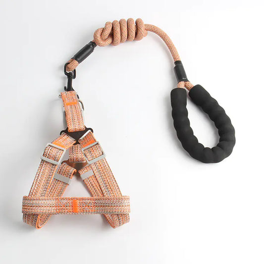 Pet Leash and Harness Set for Small Dogs (Wholesale)