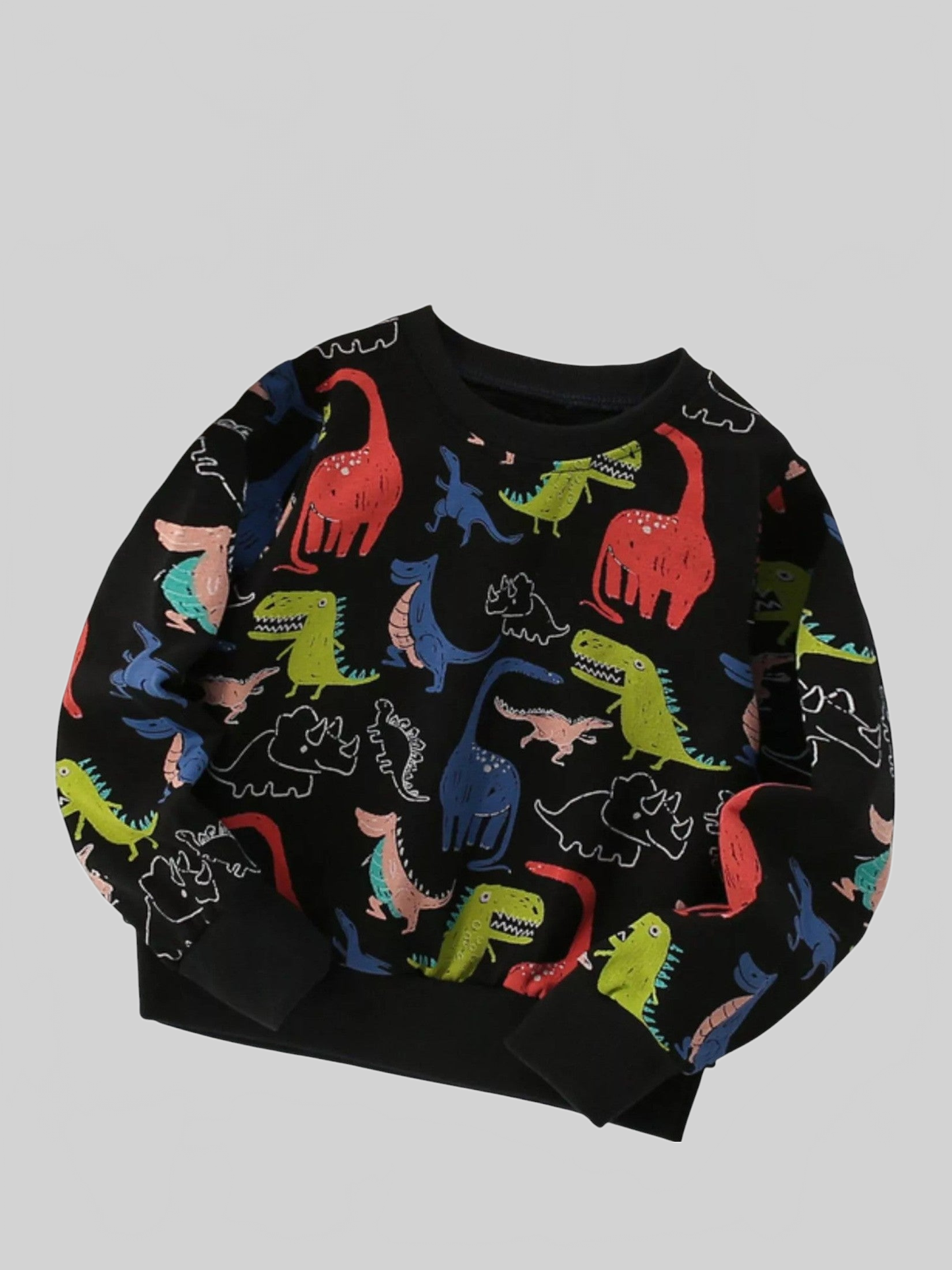 Boys and Toddler Boys Dinosaur Print Crew Neck Sweatshirt
