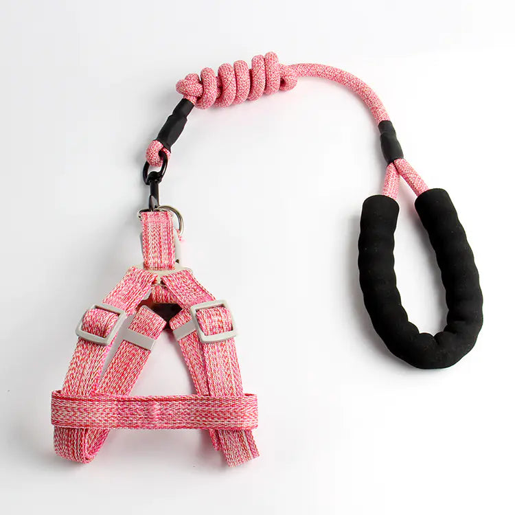 Pet Leash and Harness Set for Small Dogs (Wholesale)