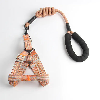 Pet Leash and Harness Set for Small Dogs (Wholesale)