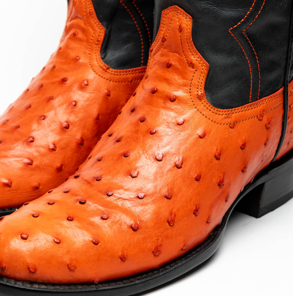 Savannah Orange