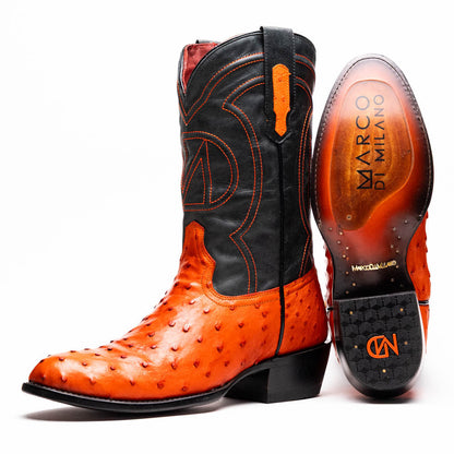 Savannah Orange