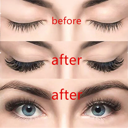 Universal Magnetic Eyelashes