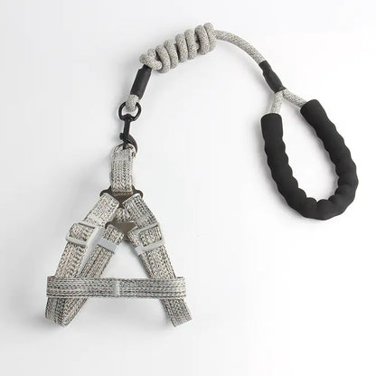 Pet Leash and Harness Set for Small Dogs (Wholesale)