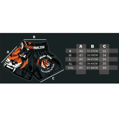 UOTF MMA Tiger Muay Thai boxing
